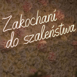 Neon Zakochani do szaleństwa dekoracja ślubna LED ciepła biel Katowice Crazy in love